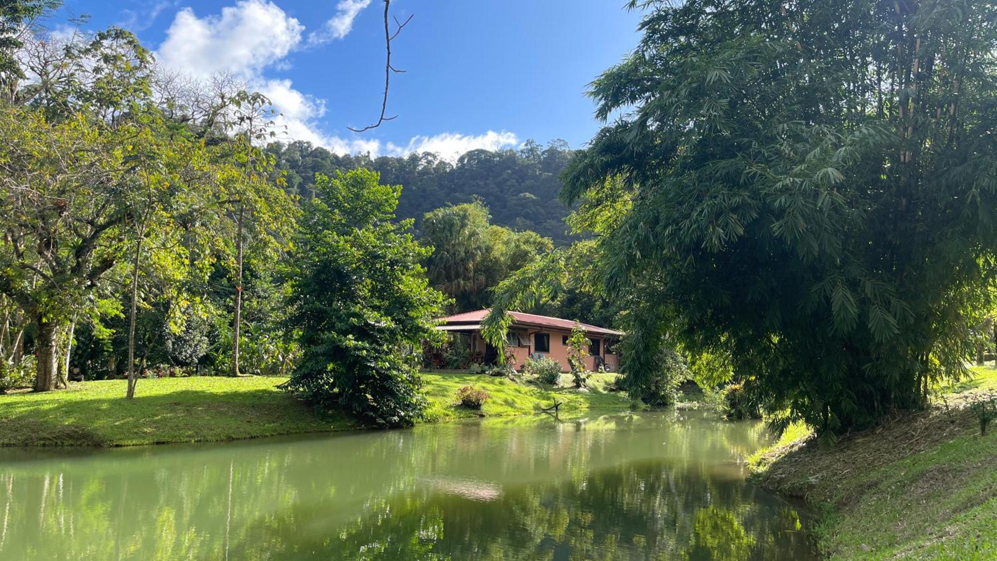 Mei Tai Cacao Lodge Bijagua Exterior photo